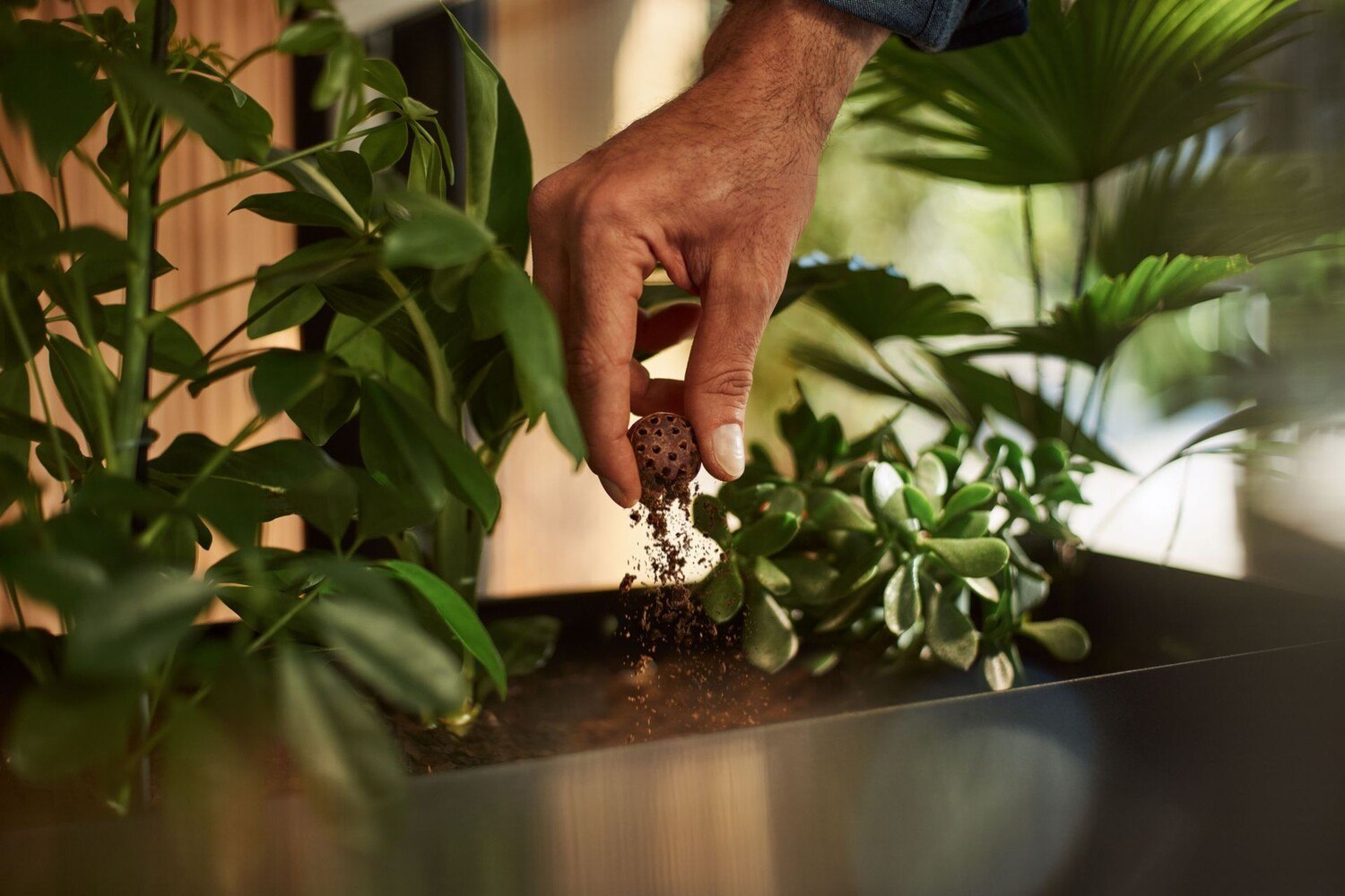 Heute wird CoffeeB in der Schweiz und in Frankreich lanciert, Deutschland folgt im Frühling 2023. Weitere Märkte, wie etwa Österreich, sind in Planung, denn das internationale Interesse ist angeblich groß. © Coffee Ball